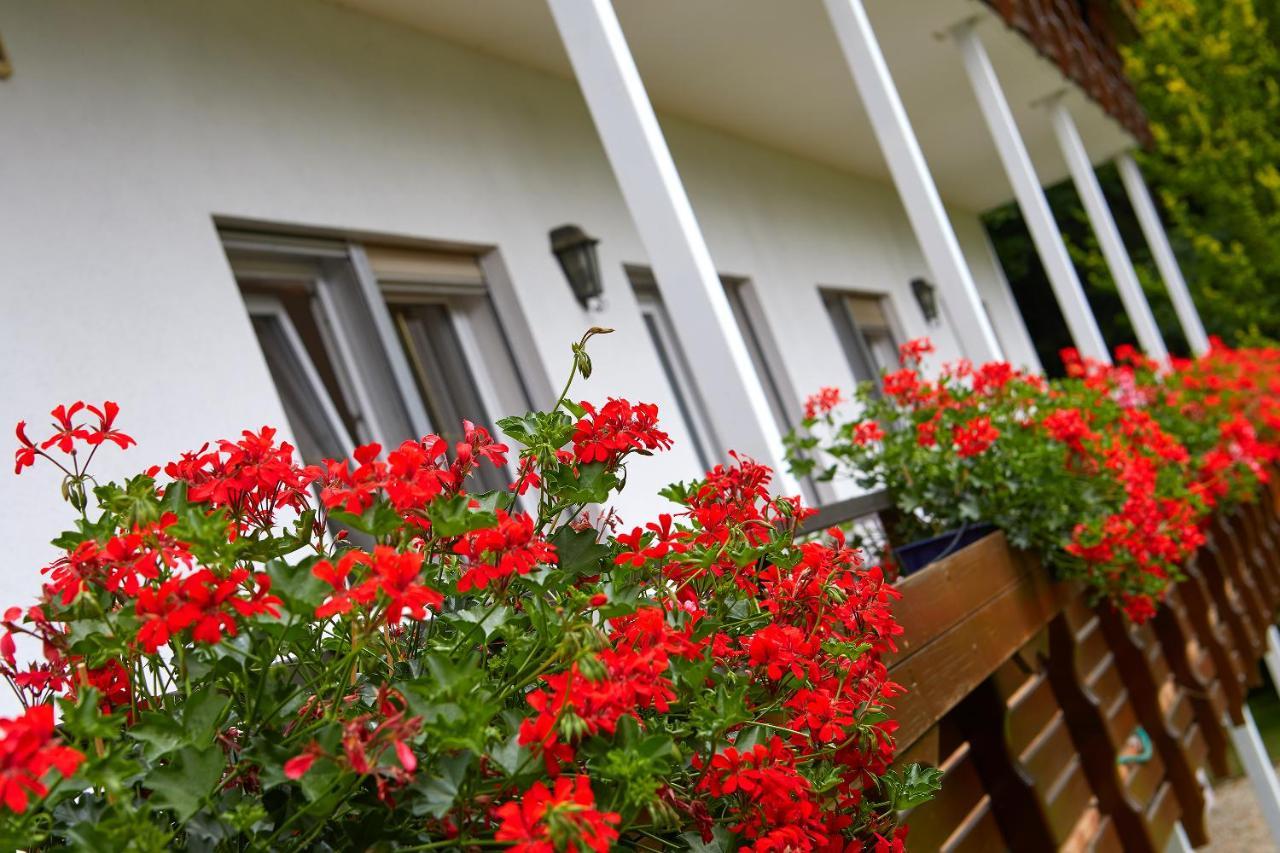 Hotel Tannmühle Und Restaurant Gmbh Callenberg